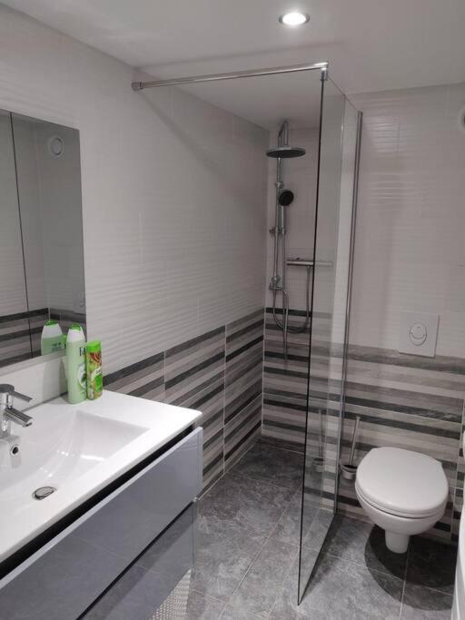 Ferienwohnung Le Business, Duplex Moderne Special Pro De Passage Sarreguemines Exterior foto
